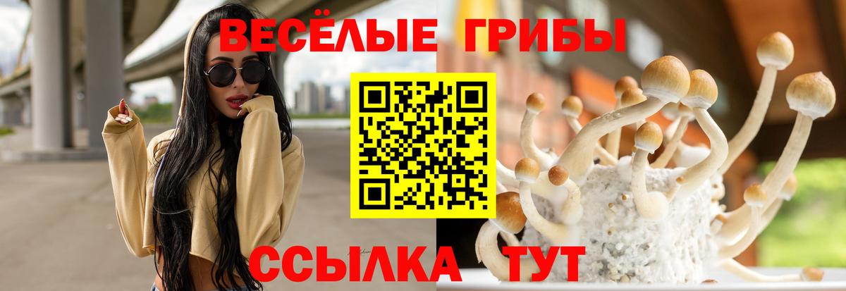 Галлюциногенные грибы Psilocybine cubensis Петропавловск-Камчатский